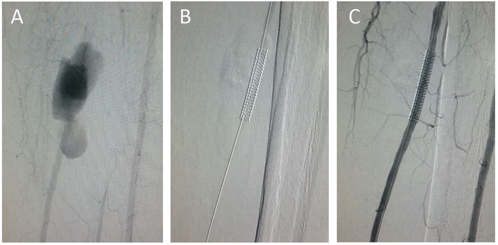 Figure 3. 