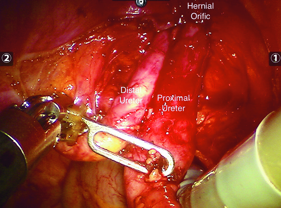 Figure 3. 